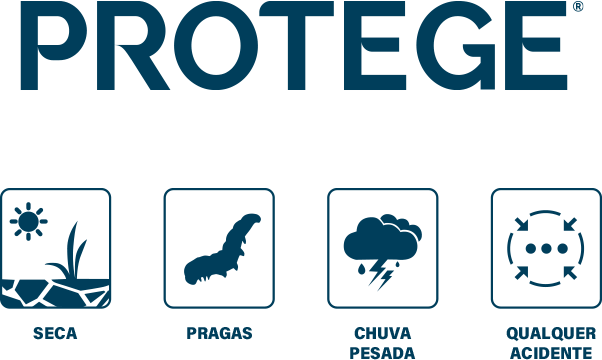 Seca, pragas, chuva pesada, qualquer acidente