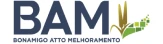 BAM — Bonamigo ATTO Melhoramento