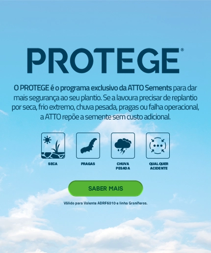 PROTEGE: programa exclusivo da ATTO Sementes que repõe a semente sem custo adicional em caso de replantio. Válido para Valente ADRF6010 e linha Graníferos.
