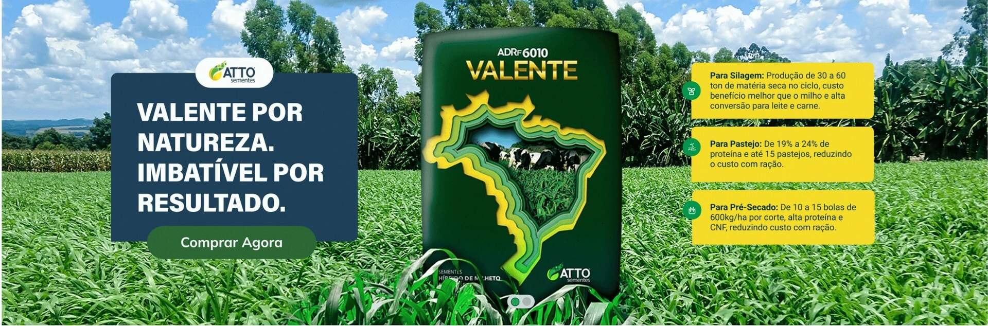 Banner Principal Home