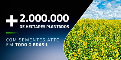(Agd) Por Tras da MercAtto - 3
