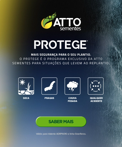 PROTEGE: programa exclusivo da ATTO Sementes que repõe a semente sem custo adicional em caso de replantio. Válido para Valente ADRF6010 e linha Graníferos.