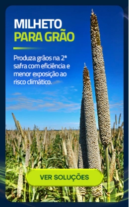(Agd) Compre por Uso - 2