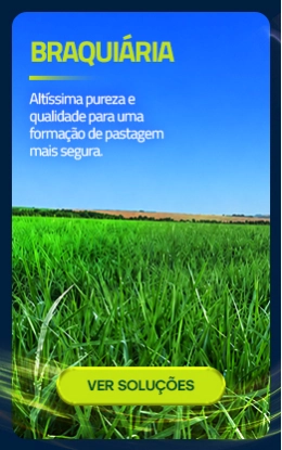 (Agd) Compre por Uso - 4