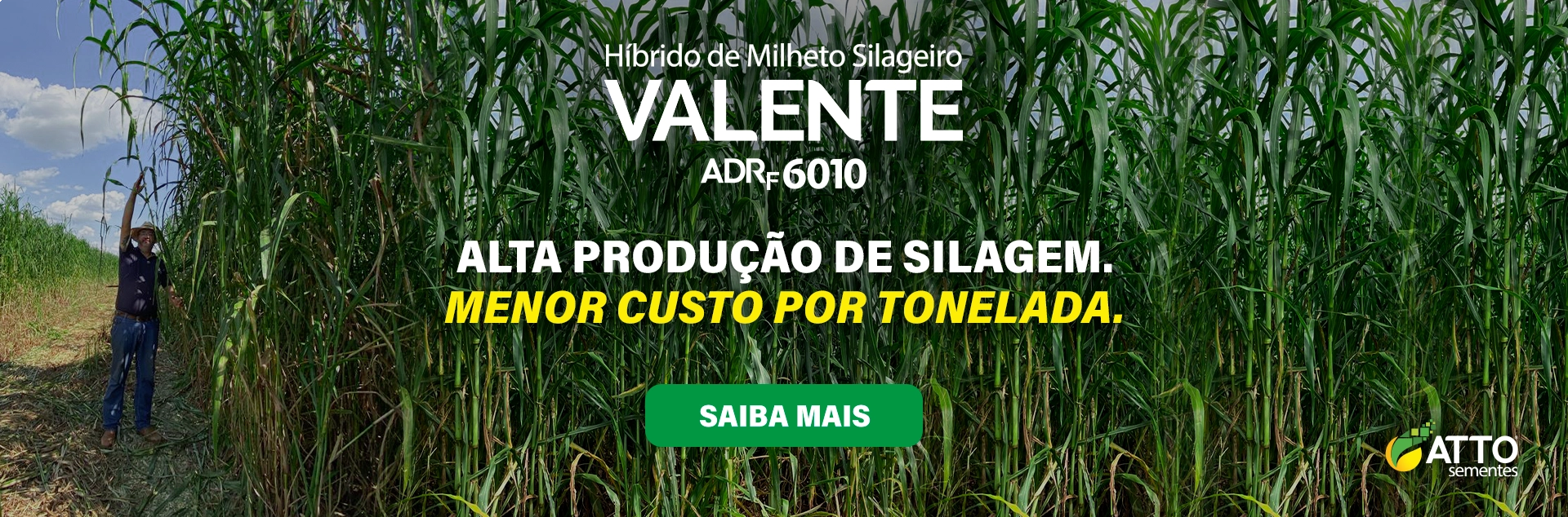 Banner Principal Home