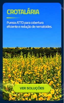 (Agd) Compre por Uso - 6