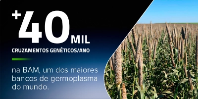 (Agd) Por Tras da MercAtto - 4