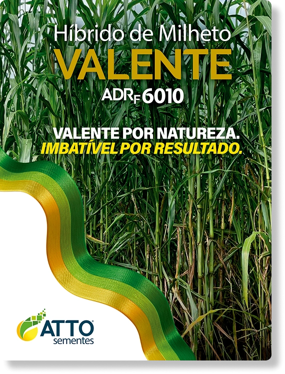 Folder Protege Valente