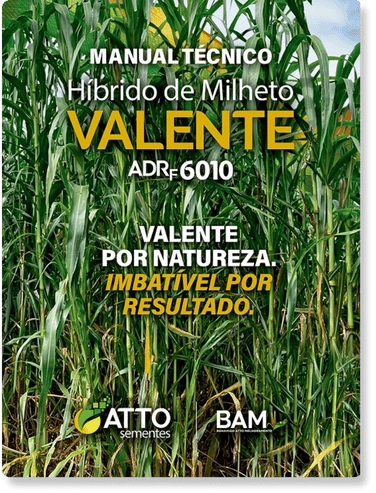 Manual Técnico Protege Valente